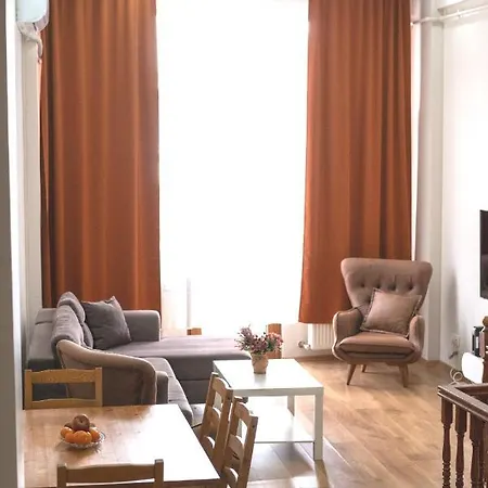Apartment Garden Duplex With Netflix Close To Taksim,bomonti Istanbul