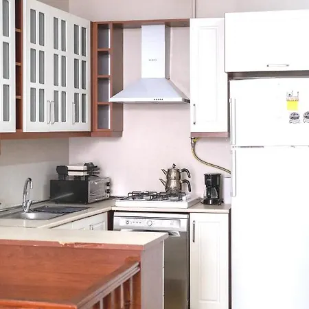 Apartment Garden Duplex With Netflix Close To Taksim,bomonti *