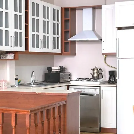 Garden Duplex With Netflix Close To Taksim,bomonti Istanbul
